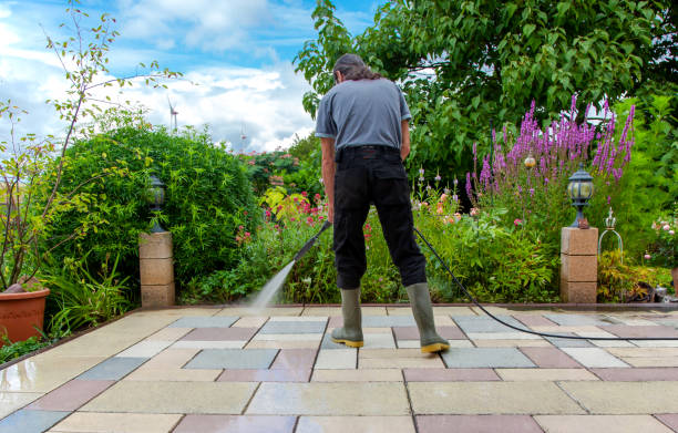 Best Driveway Pressure Washing  in Antwerp, OH