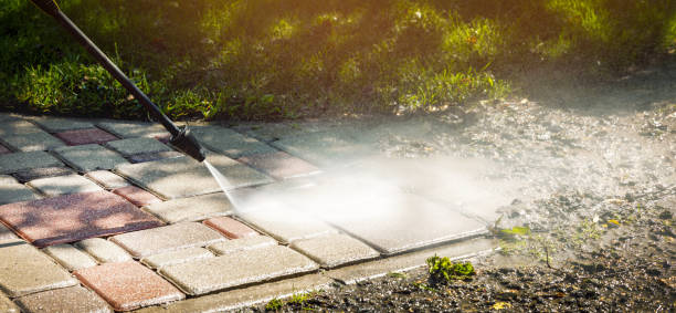 Best Residential Exterior Washing  in Antwerp, OH